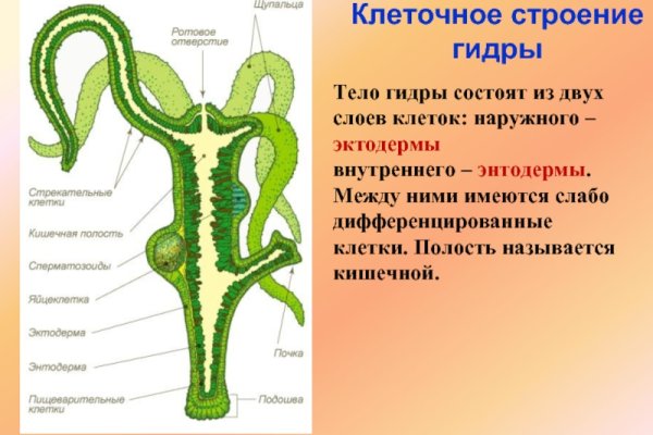 Kraken 19 at сайт