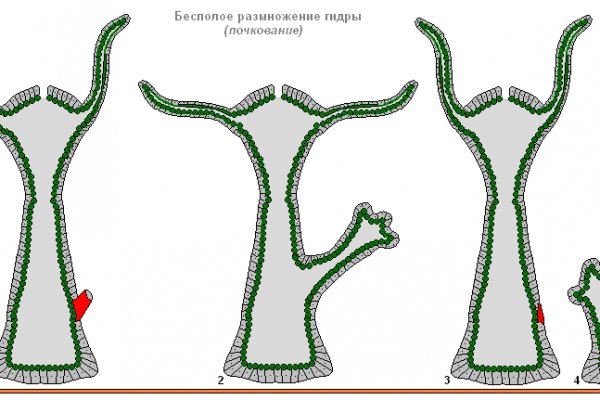 Ссылка на кракен onion kraken dark link