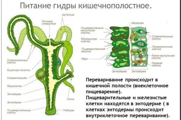 Кракен дарк оригинал ссылка