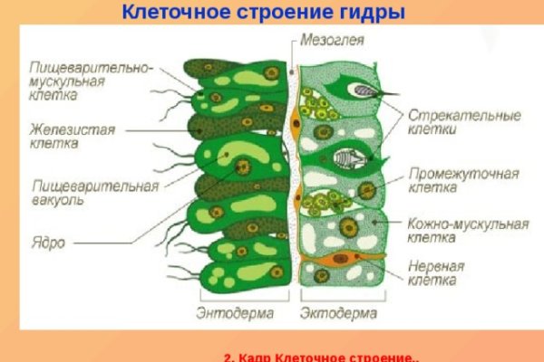 Список сайтов даркнета