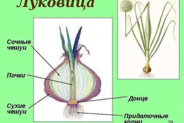 Kraken darknet зеркала