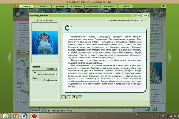 Проверенная ссылка кракен