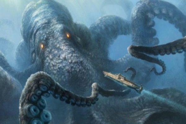 Kraken 24 top