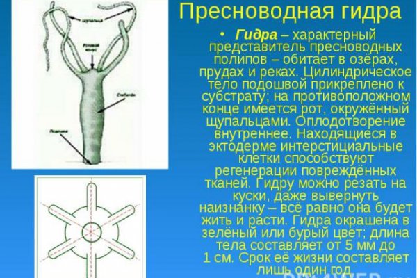 Kraken 14 at сайт