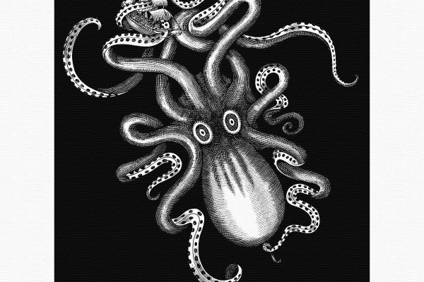 Kraken россия