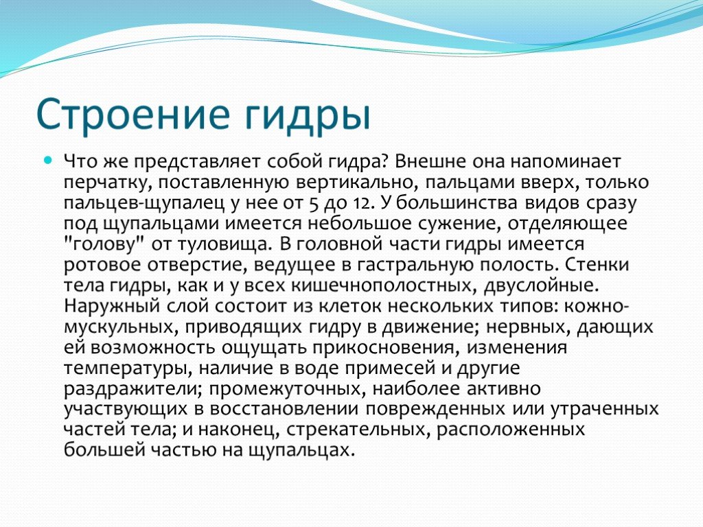 Гидра в даркнете